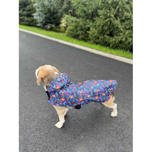 Дощовик-накидка для собак WAUDOG Clothes з капюшоном, малюнок «Нескінченні світи»