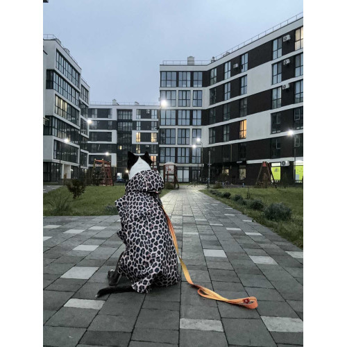 Дощовик-накидка для собак WAUDOG Clothes з капюшоном малюнок "Леопард"