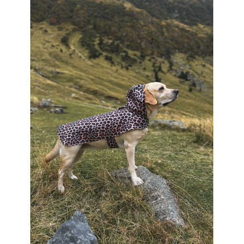 Дощовик-накидка для собак WAUDOG Clothes з капюшоном малюнок "Леопард"