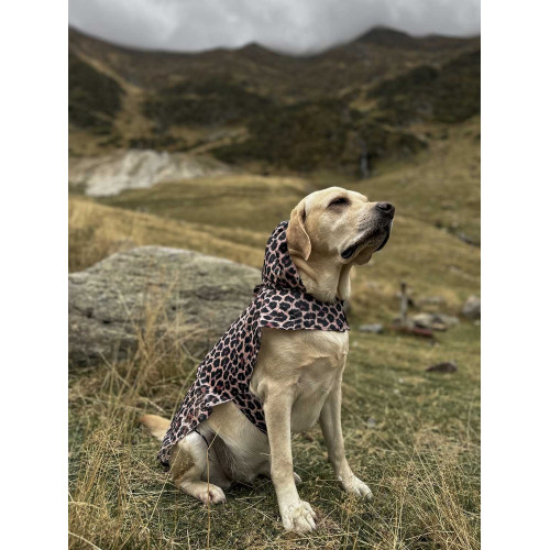 Дощовик-накидка для собак WAUDOG Clothes з капюшоном малюнок "Леопард"