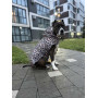 Дощовик-накидка для собак WAUDOG Clothes з капюшоном малюнок "Леопард"