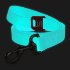 Поводок для собак водостойкий WAUDOG Waterproof, светонакопительный, ментолового цвета, (122 см - 305 см)