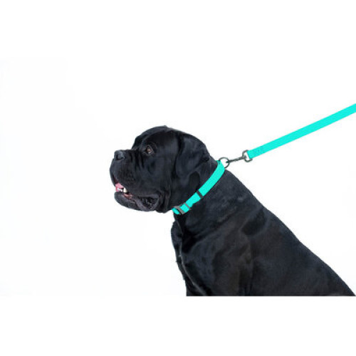 Поводок для собак водостойкий WAUDOG Waterproof, светонакопительный, ментолового цвета, (122 см - 305 см)