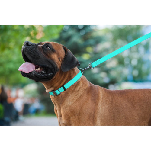 Поводок для собак водостойкий WAUDOG Waterproof, светонакопительный, ментолового цвета, (122 см - 305 см)