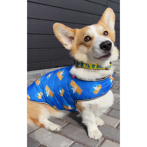 Куртка-накидка для собак WAUDOG Clothes, малюнок «Прапор»