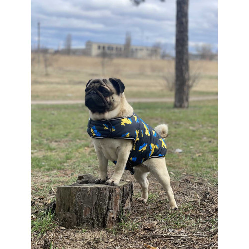 Курточка-накидка для собак WAUDOG Clothes, рисунок «Дом»