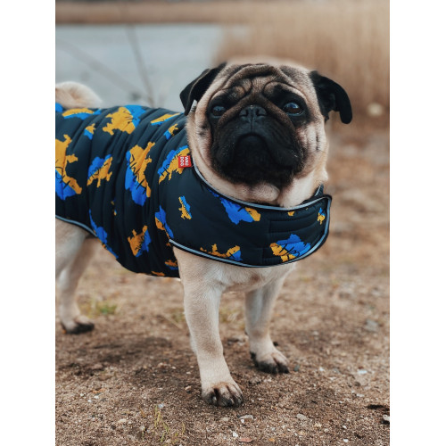 Курточка-накидка для собак WAUDOG Clothes, рисунок «Дом»