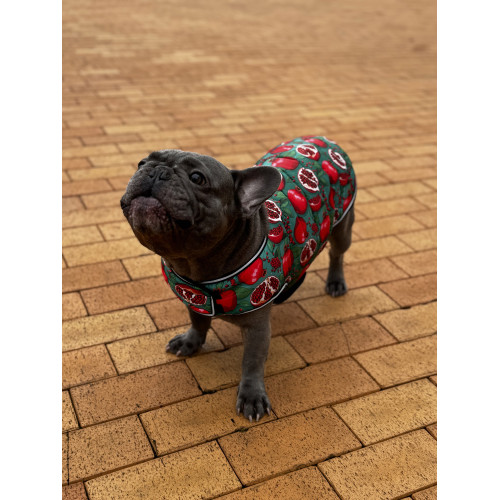 Курточка-накидка для собак WAUDOG Clothes, рисунок «Гранаты»