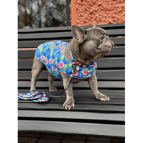 Курточка-накидка для собак WAUDOG Clothes, рисунок «Инжир»