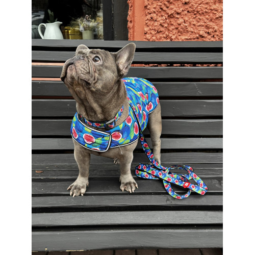 Курточка-накидка для собак WAUDOG Clothes, рисунок «Инжир»