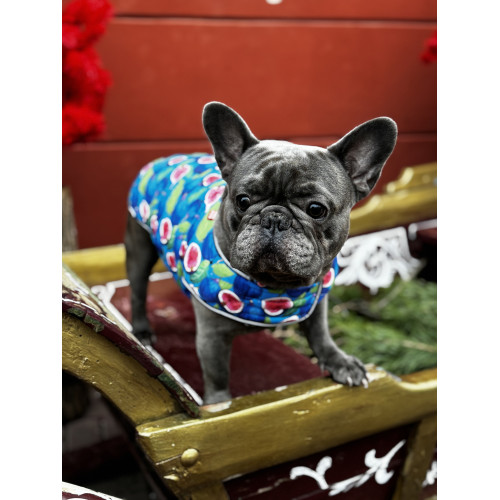 Курточка-накидка для собак WAUDOG Clothes, рисунок «Инжир»