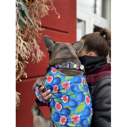 Курточка-накидка для собак WAUDOG Clothes, рисунок «Инжир»