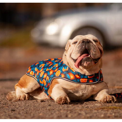 Курточка-накидка для собак WAUDOG Clothes, рисунок «Апельсины»