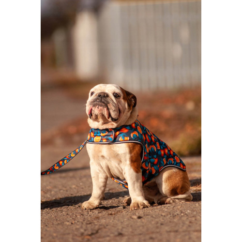 Курточка-накидка для собак WAUDOG Clothes, рисунок «Апельсины»