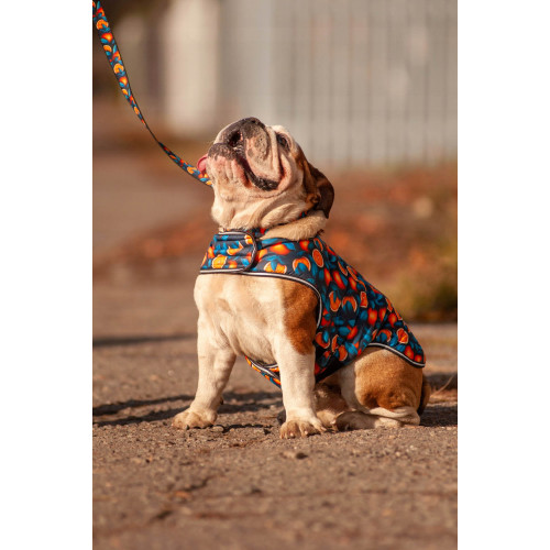 Курточка-накидка для собак WAUDOG Clothes, рисунок «Апельсины»