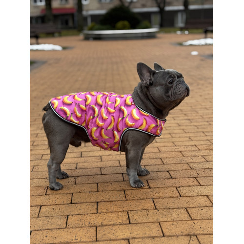 Курточка-накидка для собак WAUDOG Clothes, рисунок «Бананы на розовом»