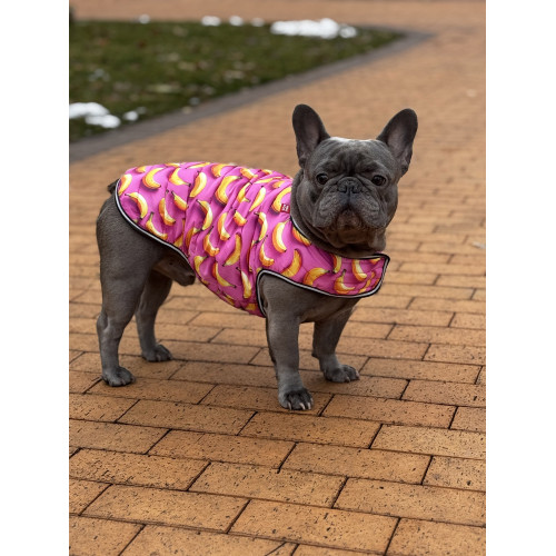 Курточка-накидка для собак WAUDOG Clothes, рисунок «Бананы на розовом»