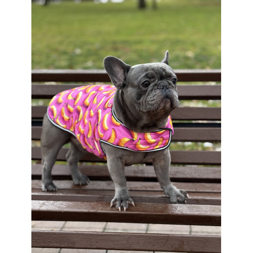 Курточка-накидка для собак WAUDOG Clothes, рисунок «Бананы на розовом»