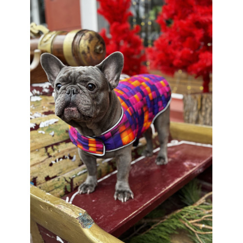 Курточка-накидка для собак WAUDOG Clothes, малюнок «Куби 3Д»