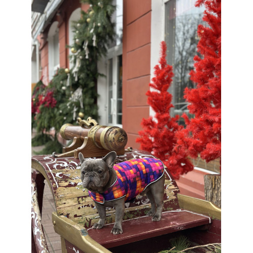 Курточка-накидка для собак WAUDOG Clothes, малюнок «Куби 3Д»