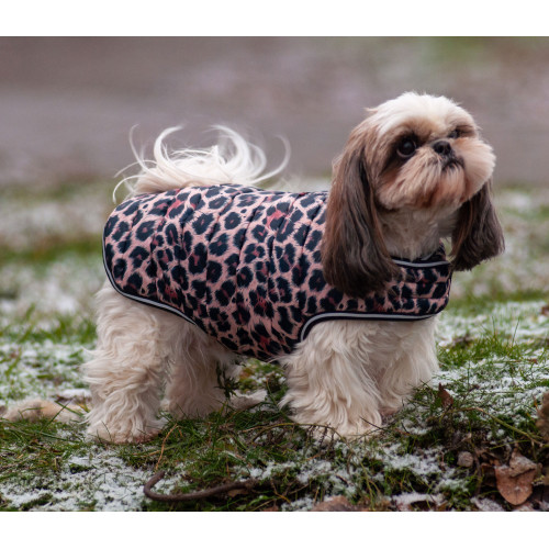 Курточка-накидка для собак WAUDOG Clothes, малюнок «Леопард»