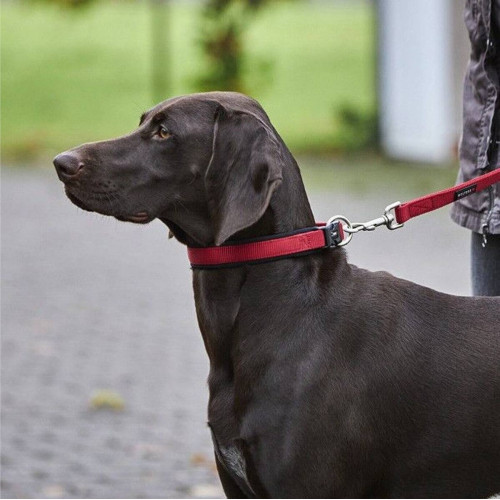 Ошейник для собак Wolters, Professional Comfort, красный