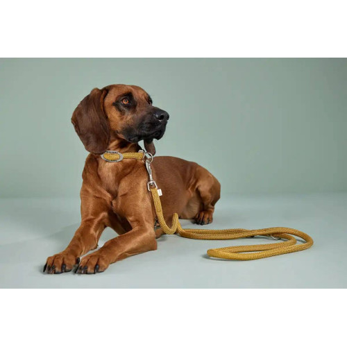 Ошейник-канат для собак Wolters, K2 Rope, желтый