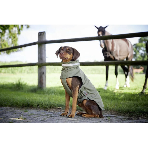 Попона дождевик для собак Wolters Modern Classic, оливковый