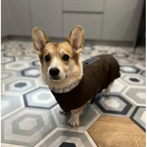 Попона-дождевик для собак Wolters Modern Classic, коричневый