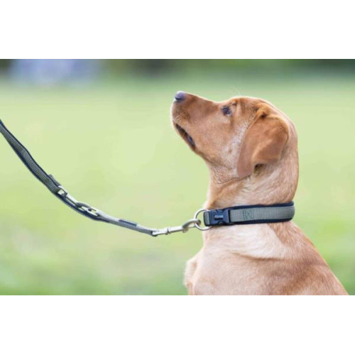 Ошейник для собак Wolters, Professional Comfort, оливковый