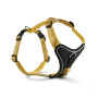 Шлейка для собак Wolters, Professional Comfort, жовта