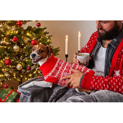 Вязаный свитер для собаки Wolters Thore, красный