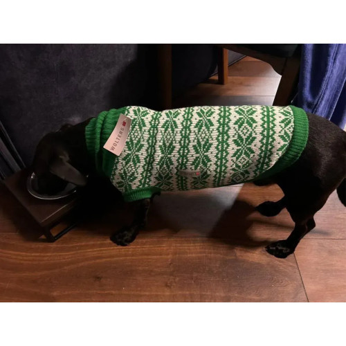 Вязаный свитер для собаки Wolters Thore, зелёный