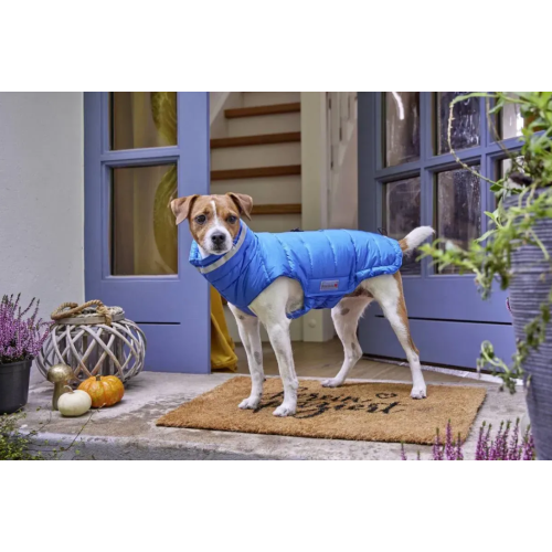 Тёплая куртка для собак Wolters Cosy, синяя