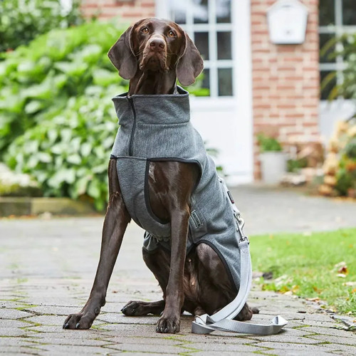 Флисовая куртка для собак демисезонная Wolters Casual серая