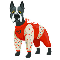 Дощовики для собак