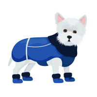 Жилети та попони