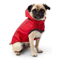 Одежда для мопса