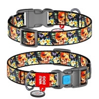 Нашийник для собак нейлоновий WAUDOG Nylon з QR-паспортом, малюнок "Гламурні черепа", пластиковий фастекс
