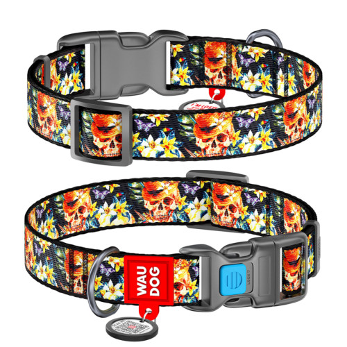 Нашийник для собак нейлоновий WAUDOG Nylon з QR-паспортом, малюнок "Гламурні черепа", пластиковий фастекс